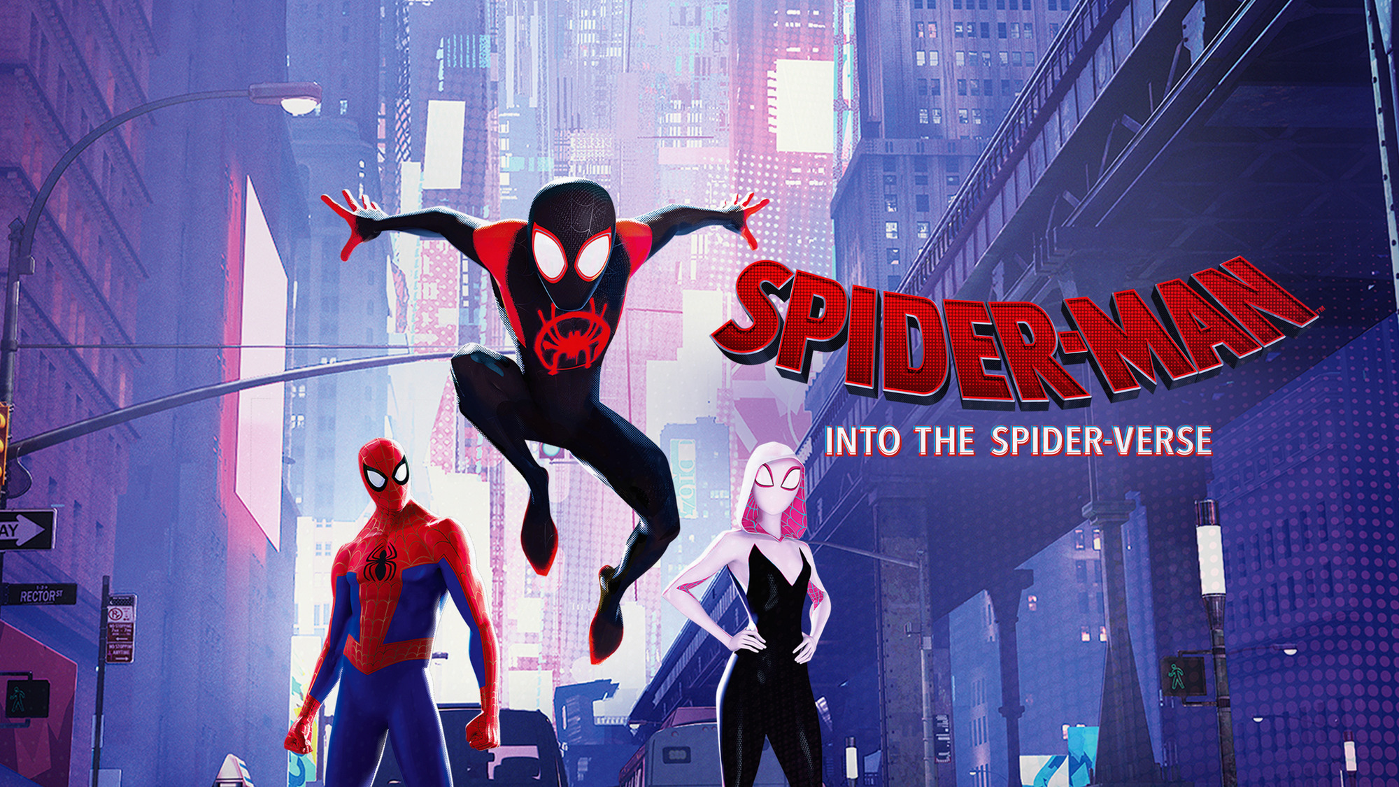 Spider Man Into The Spider Verse Film Series